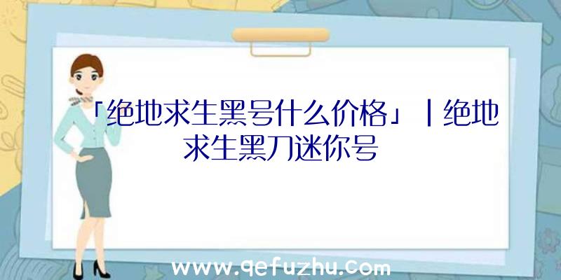 「绝地求生黑号什么价格」|绝地求生黑刀迷你号